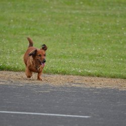 2013 Suche 29062013 Michal